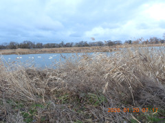 DSCN1569.JPG
