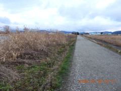 DSCN1570.JPG