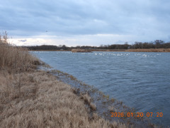 DSCN1572.JPG