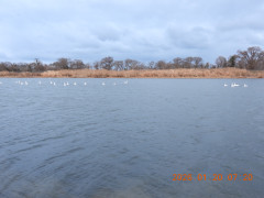 DSCN1573.JPG