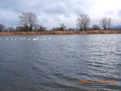 DSCN1574.JPG