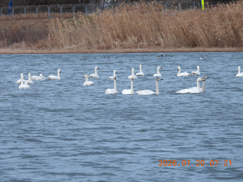 DSCN1579.JPG