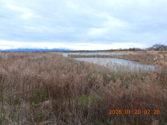 DSCN1585.JPG