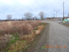 DSCN1586.JPG