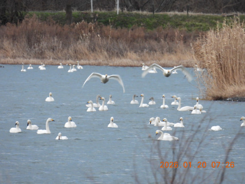 DSCN1589.JPG