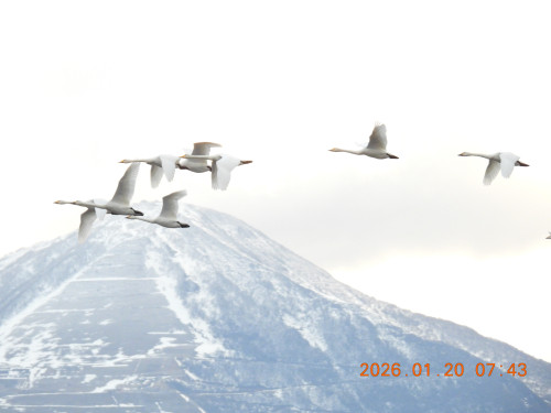 DSCN1686.JPG