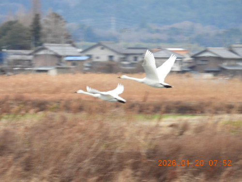 DSCN1719.JPG
