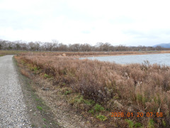 DSCN1727.JPG