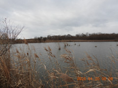 DSCN1732.JPG