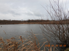 DSCN1733.JPG