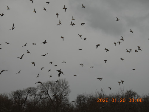 DSCN1734.JPG