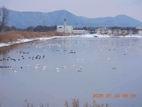 DSCN1741.JPG