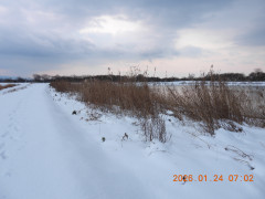 DSCN1743.JPG