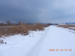 DSCN1745.JPG