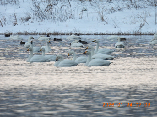 DSCN1751.JPG