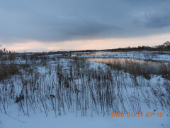 DSCN1756.JPG
