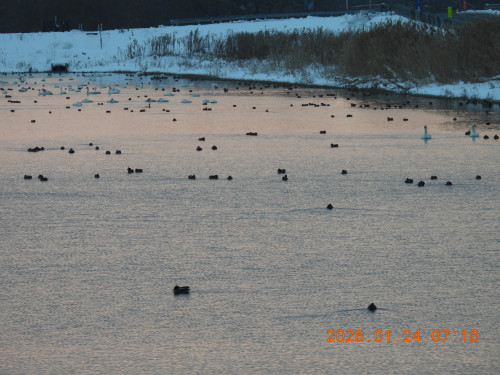 DSCN1762.JPG