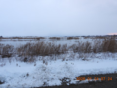 DSCN1764.JPG