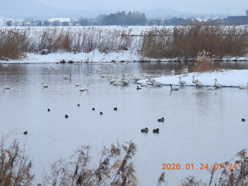 DSCN1766.JPG
