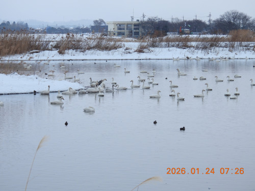 DSCN1767.JPG