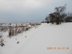 DSCN1776.JPG
