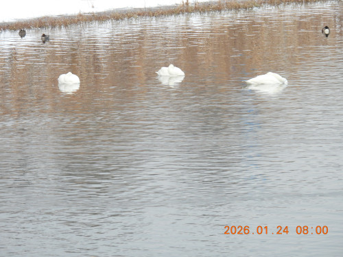 DSCN1788.JPG