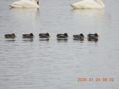 DSCN1789.JPG