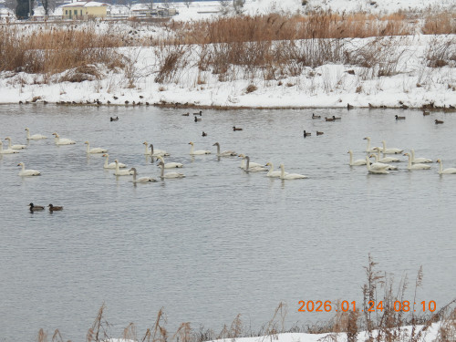 DSCN1791.JPG