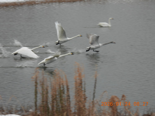 DSCN1798.JPG