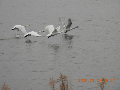 DSCN1799.JPG