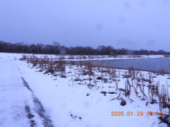 DSCN1805.JPG