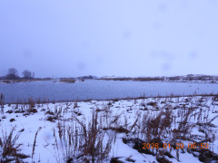 DSCN1806.JPG
