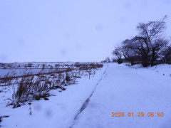 DSCN1807.JPG