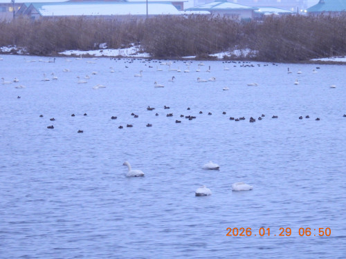 DSCN1808.JPG