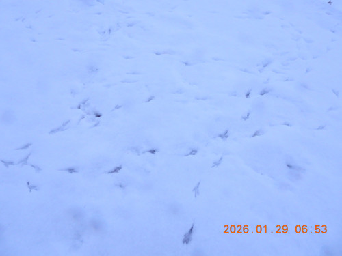 DSCN1809.JPG