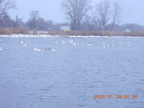 DSCN1813.JPG