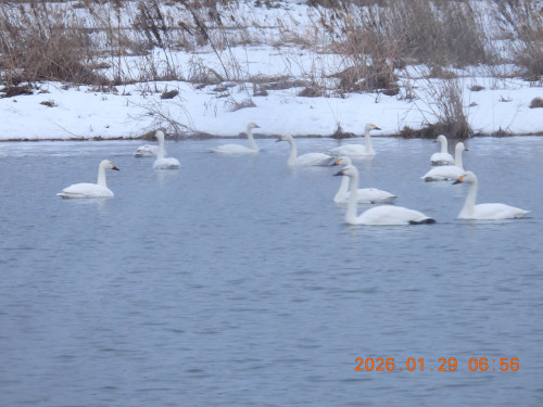 DSCN1814.JPG