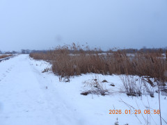 DSCN1815.JPG