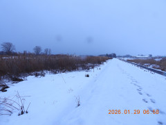 DSCN1817.JPG
