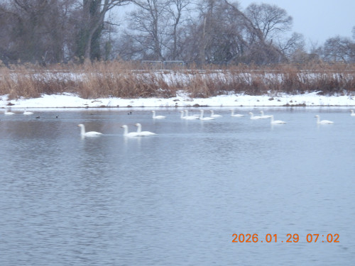 DSCN1821.JPG