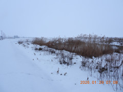 DSCN1825.JPG