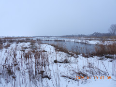DSCN1826.JPG