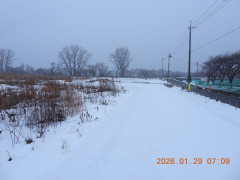 DSCN1827.JPG