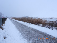 DSCN1836.JPG