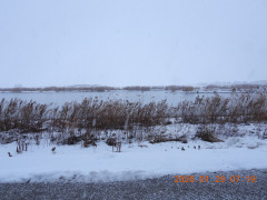 DSCN1837.JPG