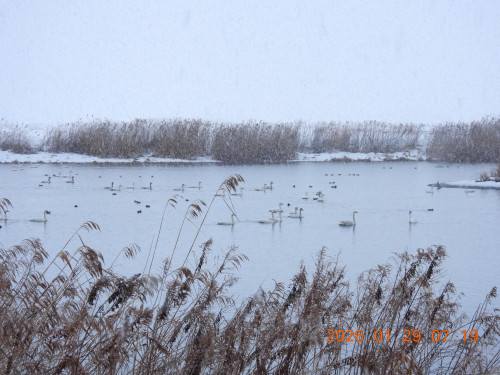 DSCN1839.JPG