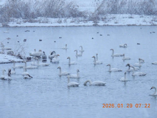 DSCN1841.JPG