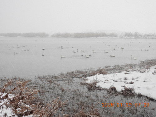 DSCN1842.JPG