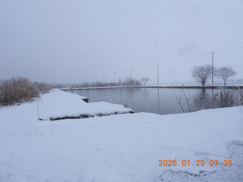 DSCN1844.JPG