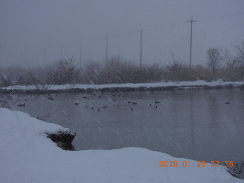 DSCN1845.JPG